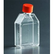 Primaire préparation surface antidérapante 250ml Primaire préparation surface antidérapante